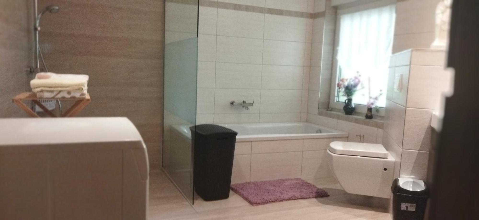 1 Apartment Thale